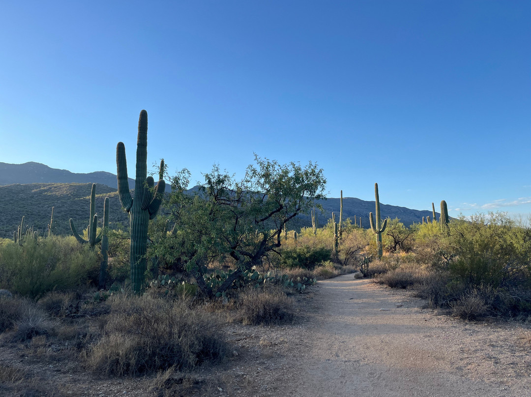 Desert Trails Bed and Breakfast主图