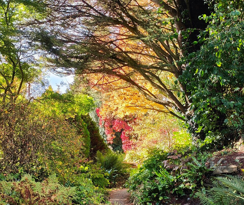 Hergest Croft Gardens景点图片