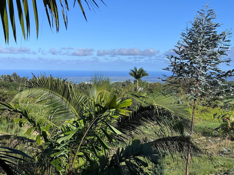 Mauna Kea Cloudforest Bioreserve-希洛必去景点