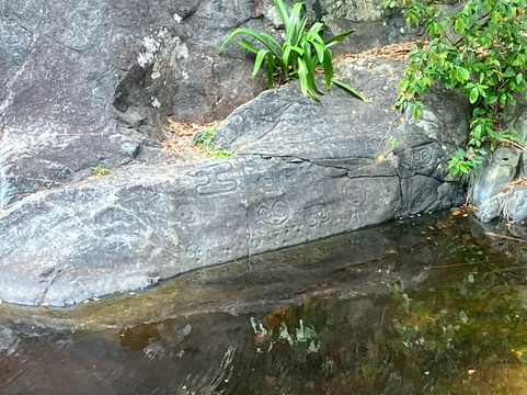 Island Trail Adventures-圣 托马斯必去景点