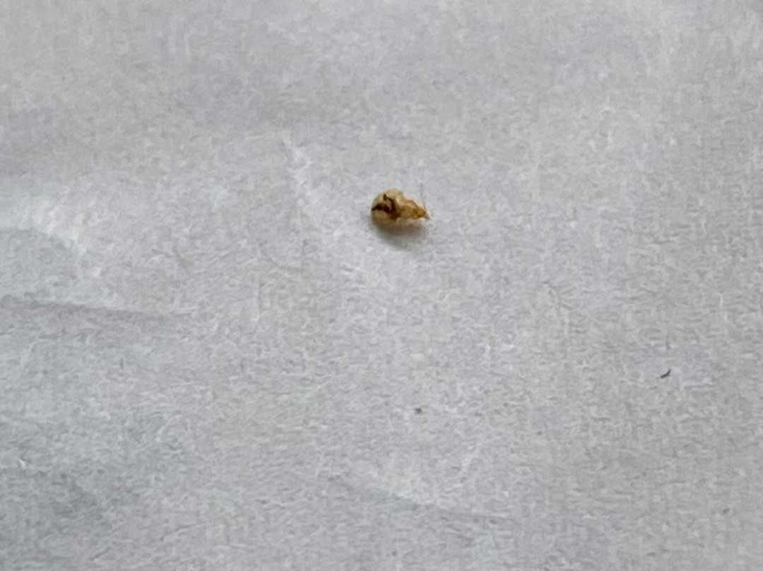 La Quinta Inn by Wyndham Columbia NE Fort Jackson