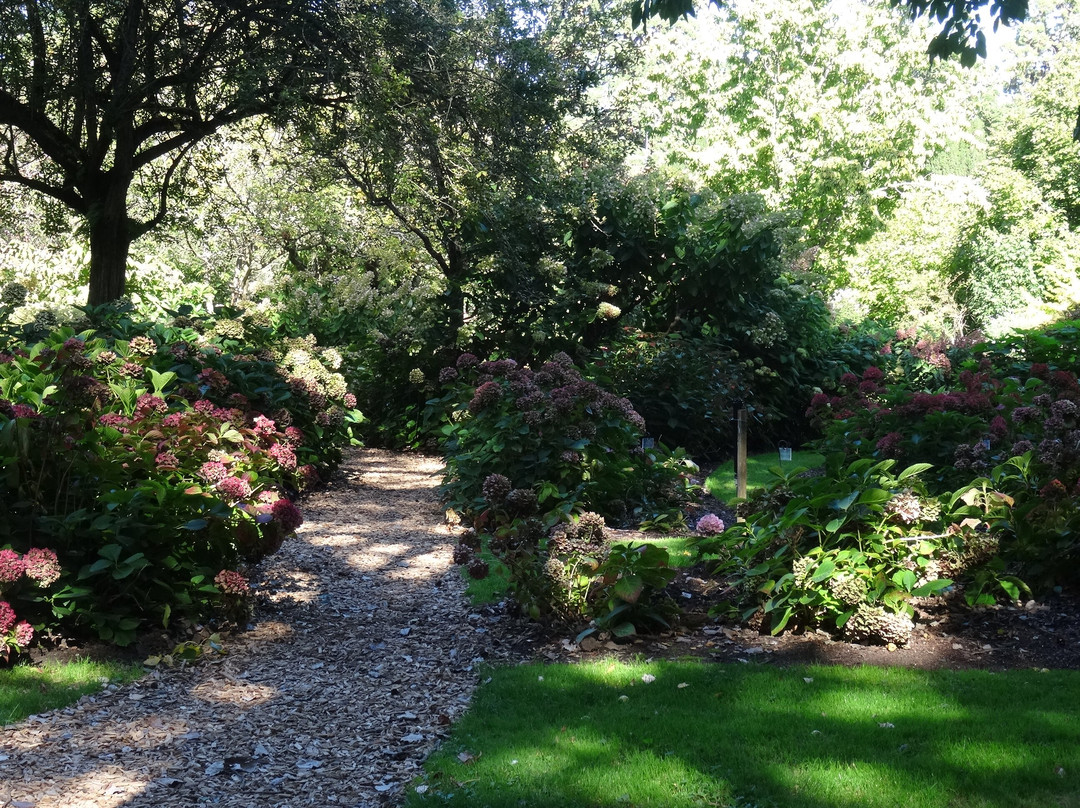 Parc de l'Arboretum景点图片