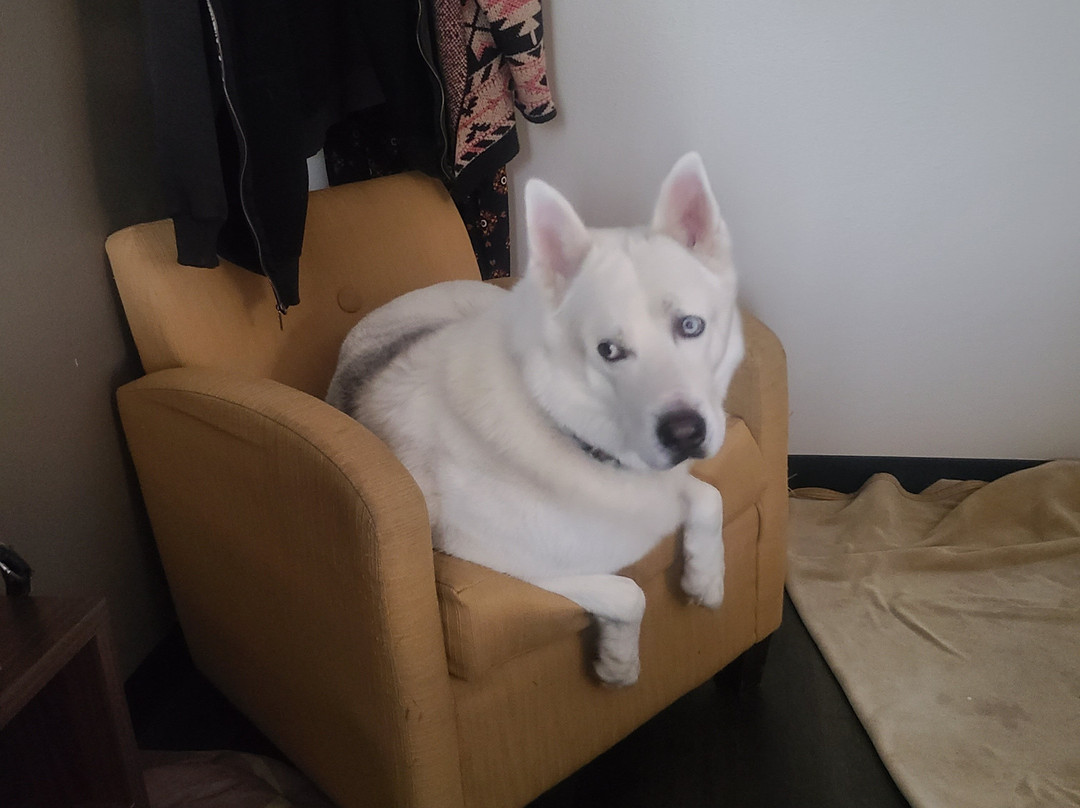 Super 8 by Wyndham Richfield UT主图