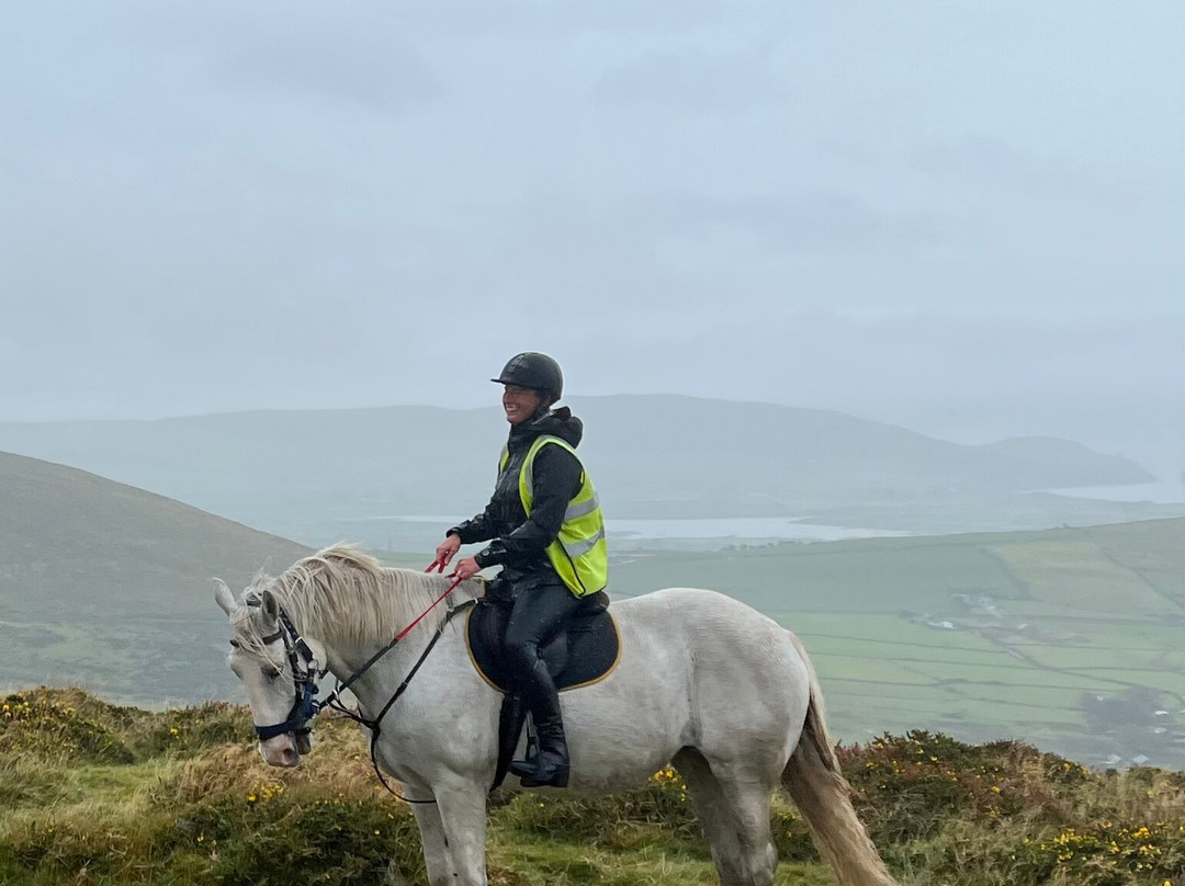 Dingle Horse Riding景点图片