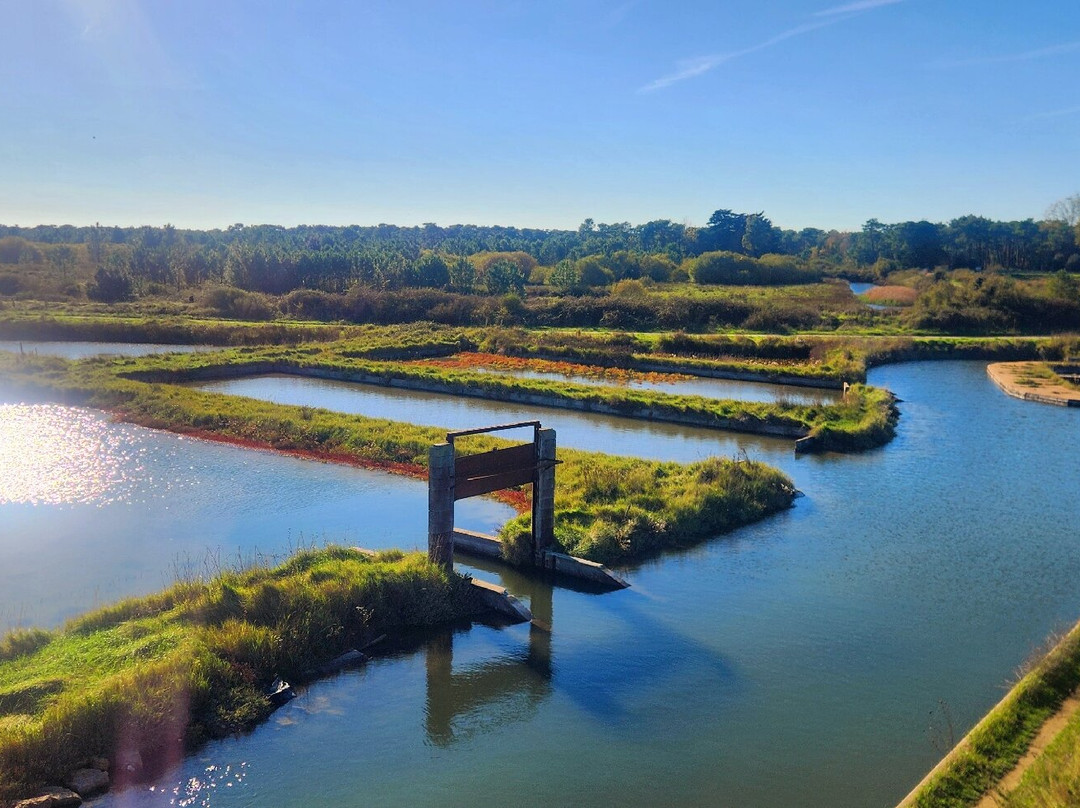 Rade d'Amour-La Faute sur Mer必去景点