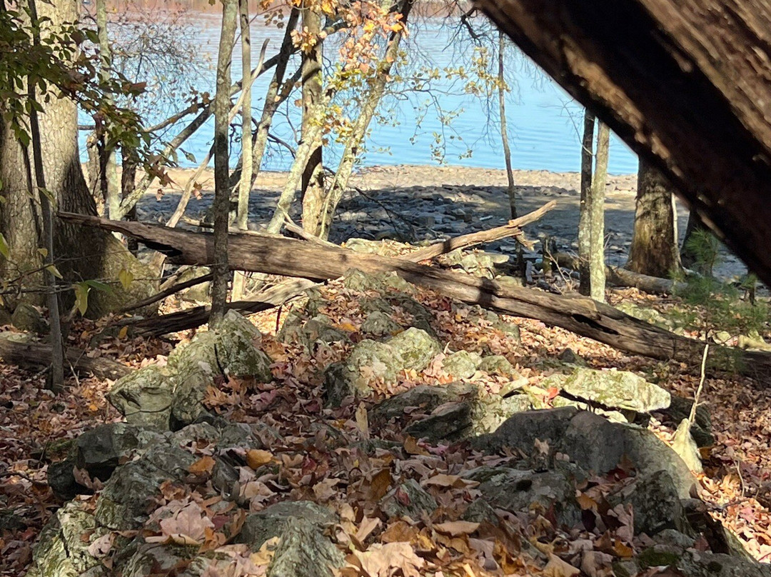 Shuman Point Hiking Trail景点图片
