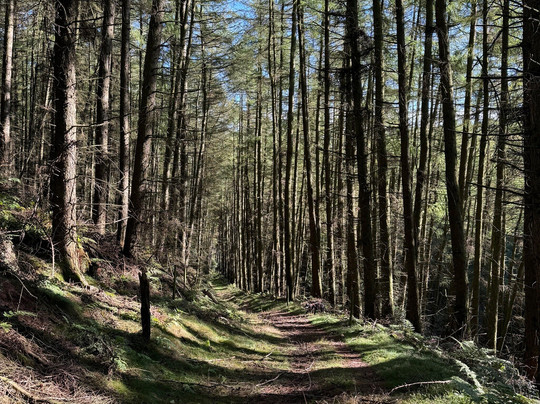 South Moor Farm主图