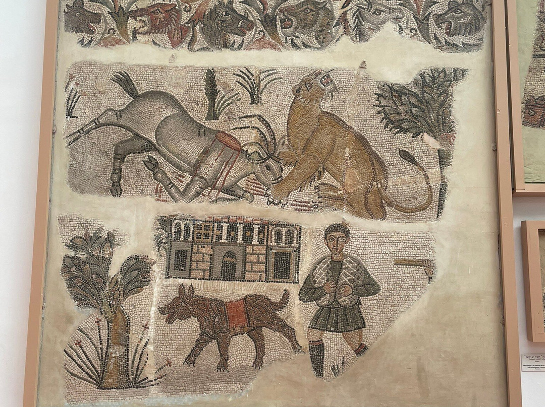 Musée National Cirta景点图片