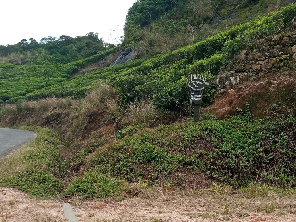 By Foot Adventures Sri Lanka主图