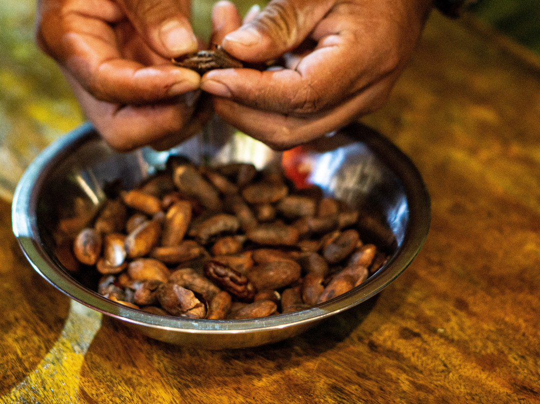 Maranura Tours-Maranura必去景点