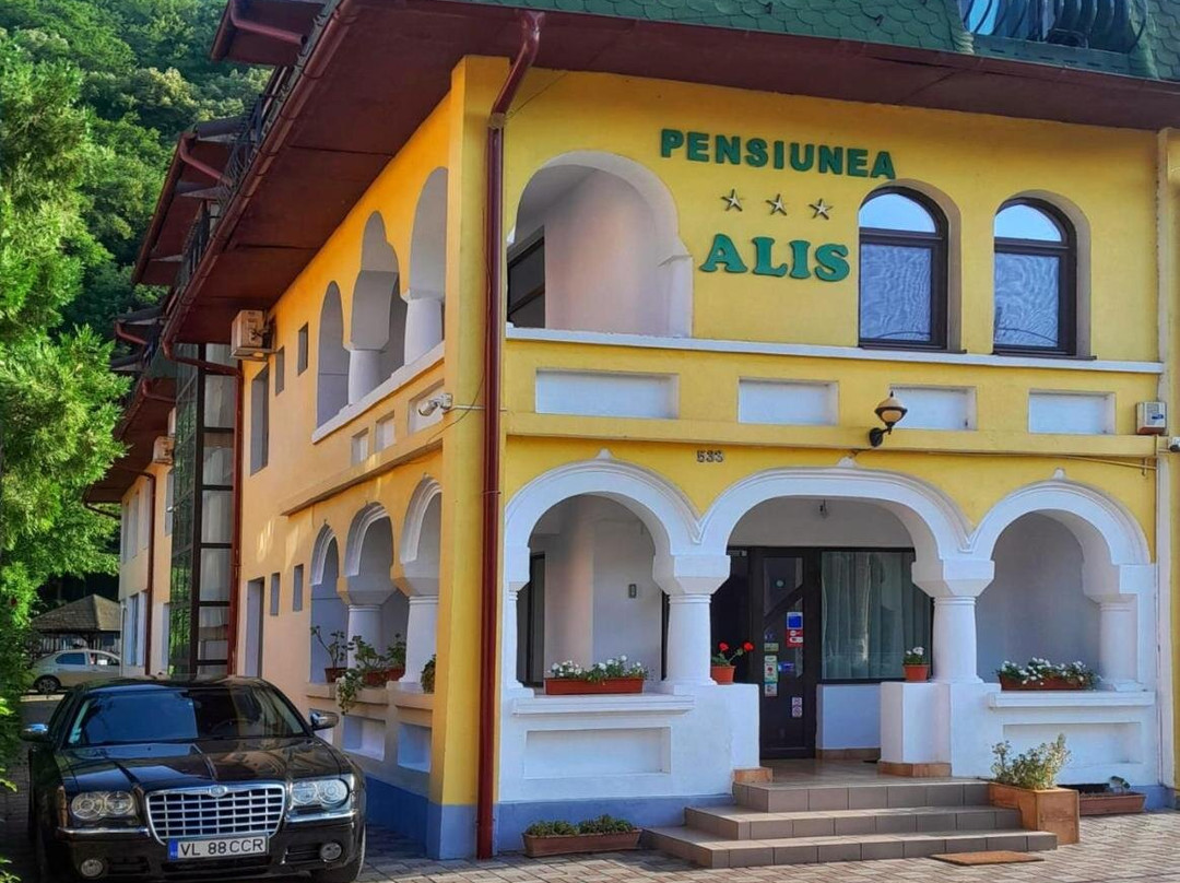 Pensiunea Alis