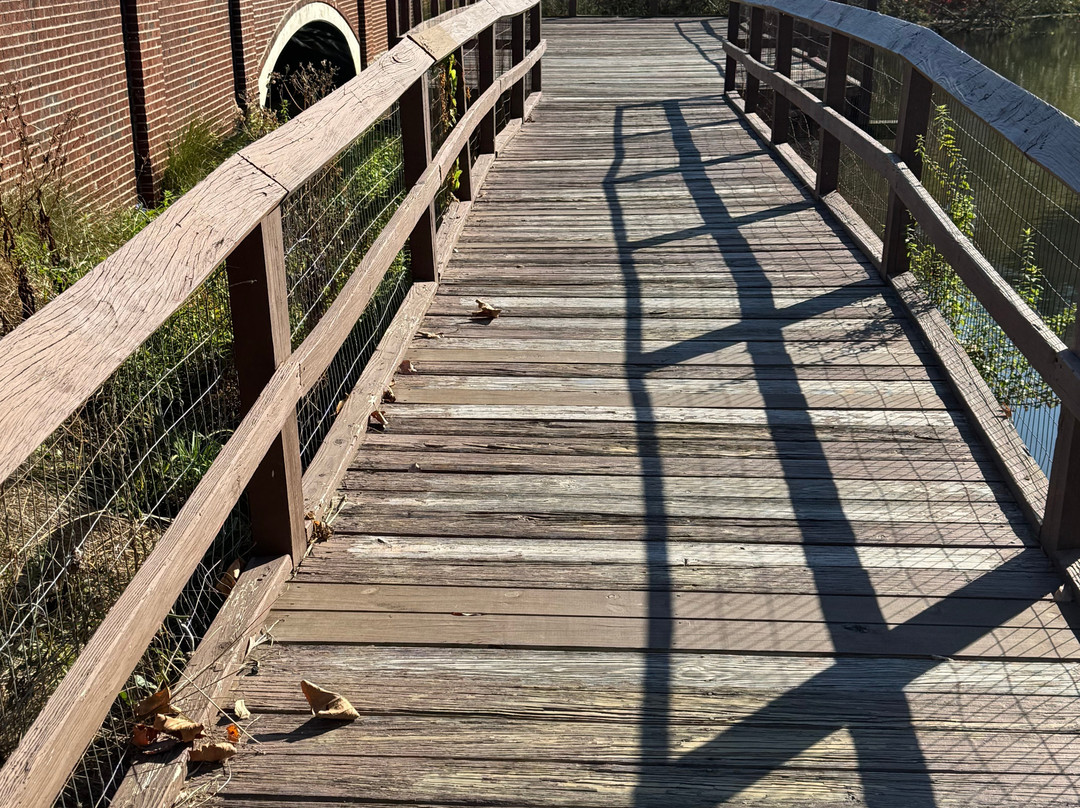 Lake Gerar Tot Lot-里霍博斯比奇必去景点