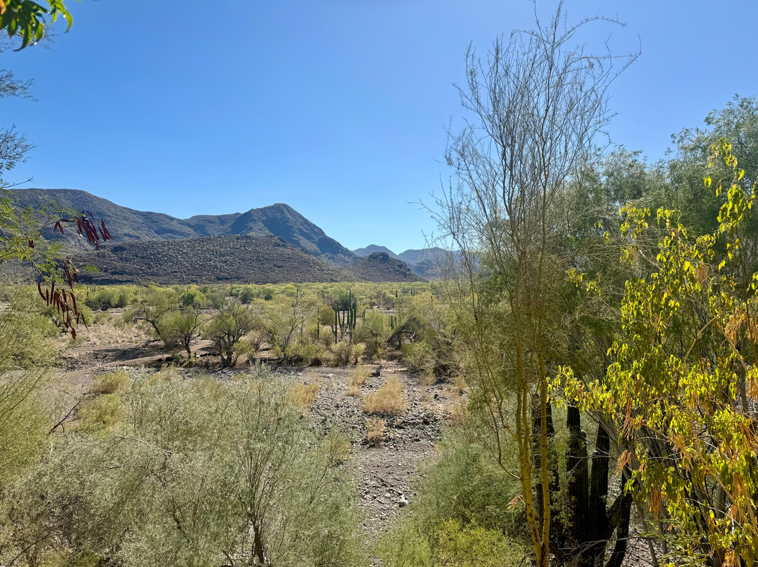 Mulege Tours - Day Tours-Mulege必去景点