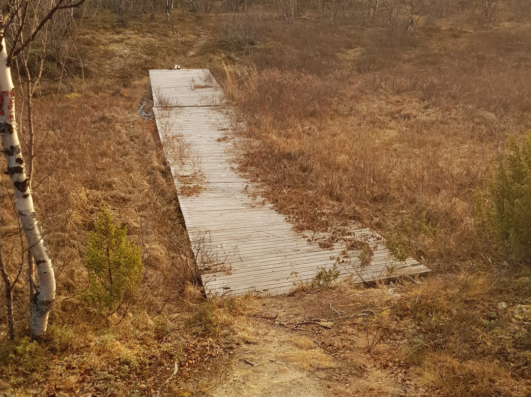 Kautokeino Natursti景点图片