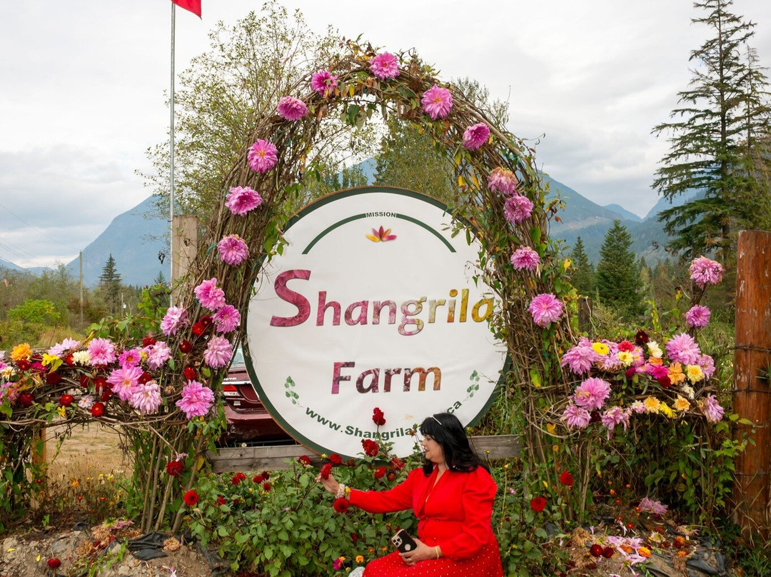 Shangrila Farm景点图片