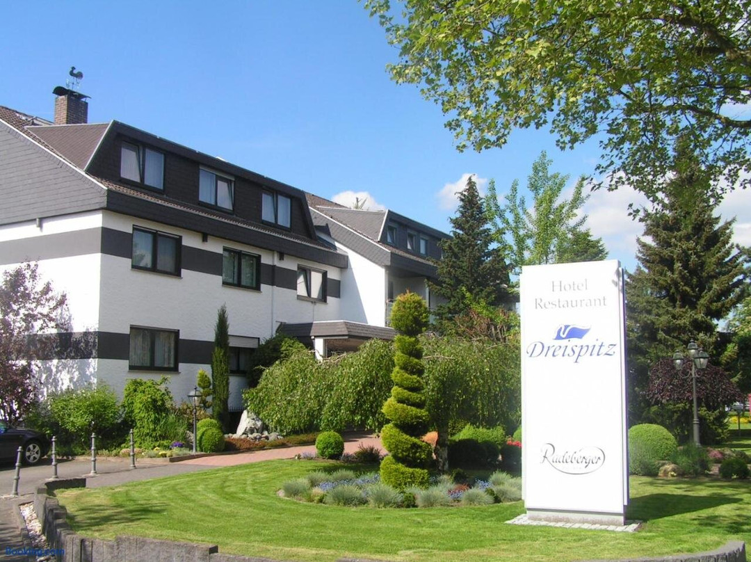 Hofheim am Taunus酒店住宿-Dreispitz Hotel