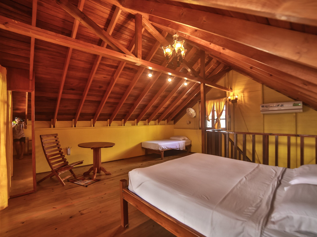 Koko Over The Water主图