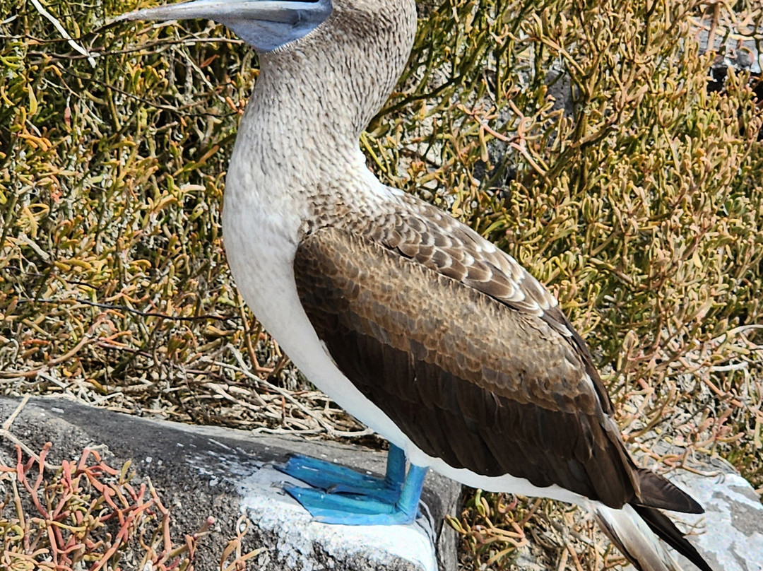 Enjoying Ecuador Travel-基多必去景点