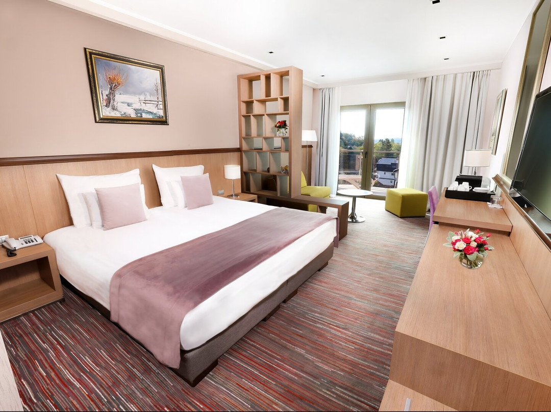 Hotel Premier Aqua主图