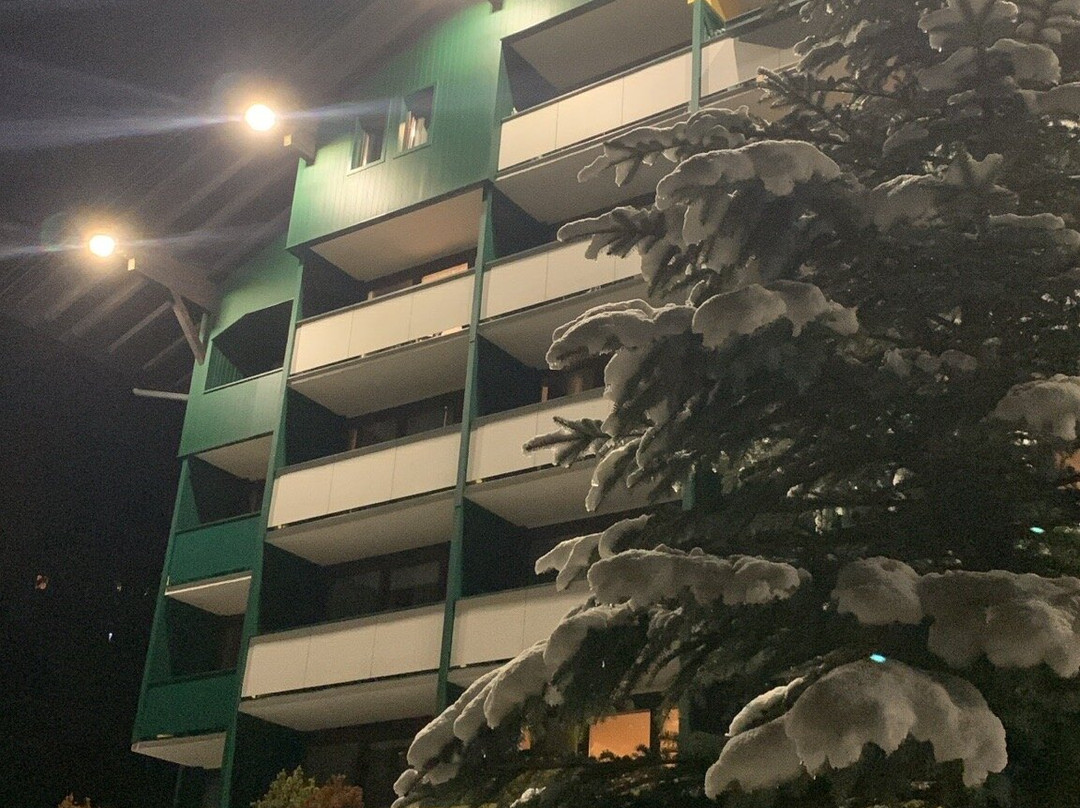Alpine Club主图