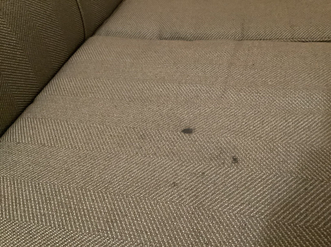 Comfort Inn & Suites主图