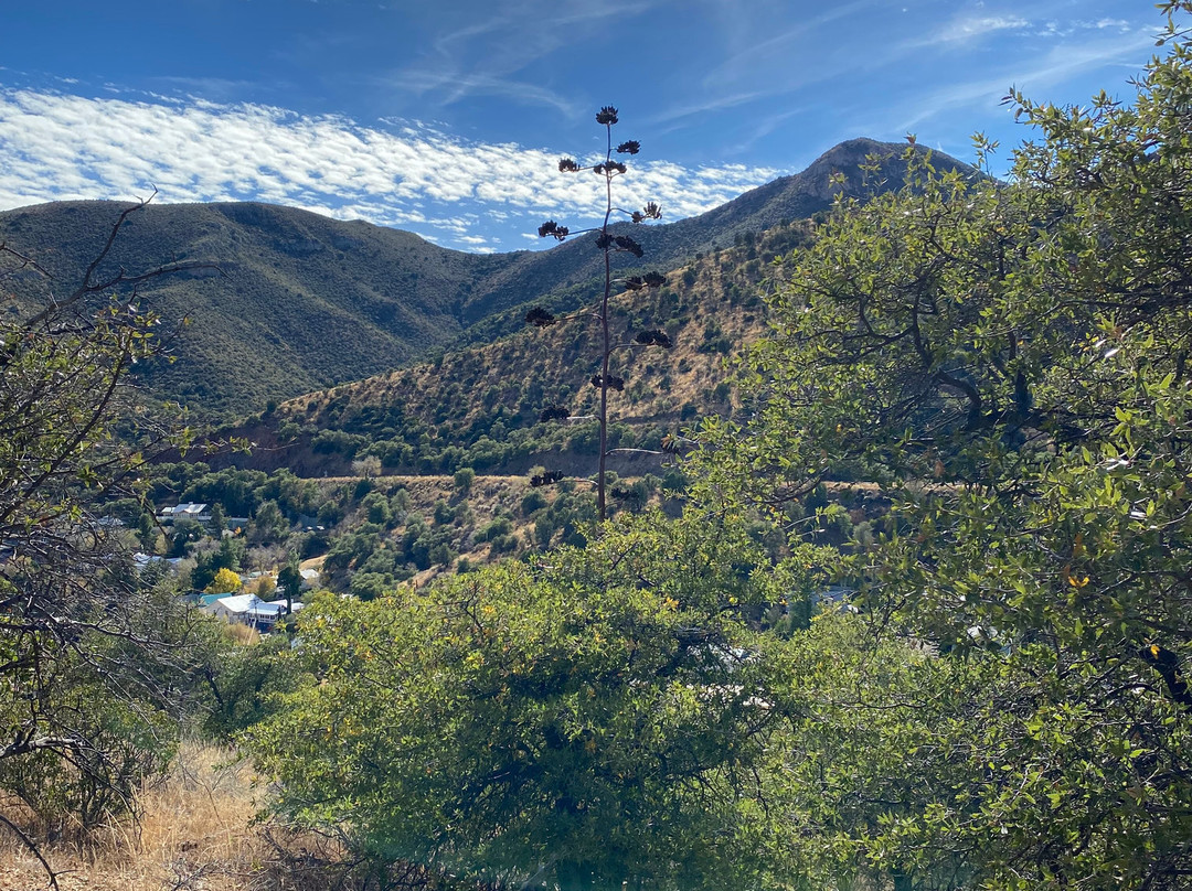 North Tombstone Canyon Trail景点图片