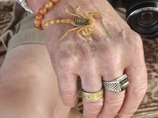 Agadirtrips-阿加迪尔必去景点