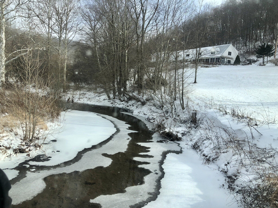 Morning Glory Inn主图