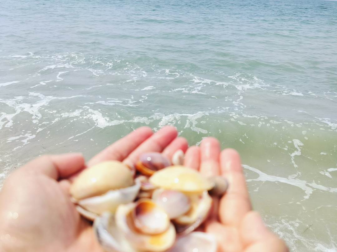 Capital Wind Kalpitiya主图