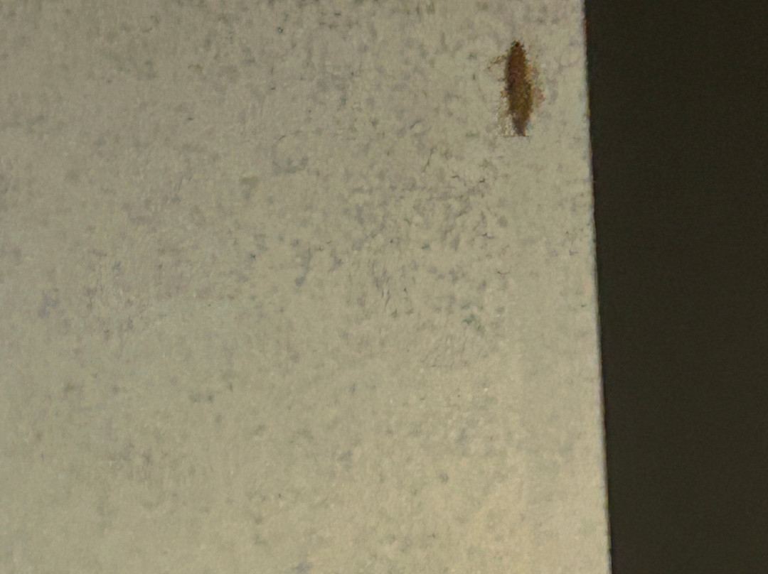 Best Western Sycamore Inn主图