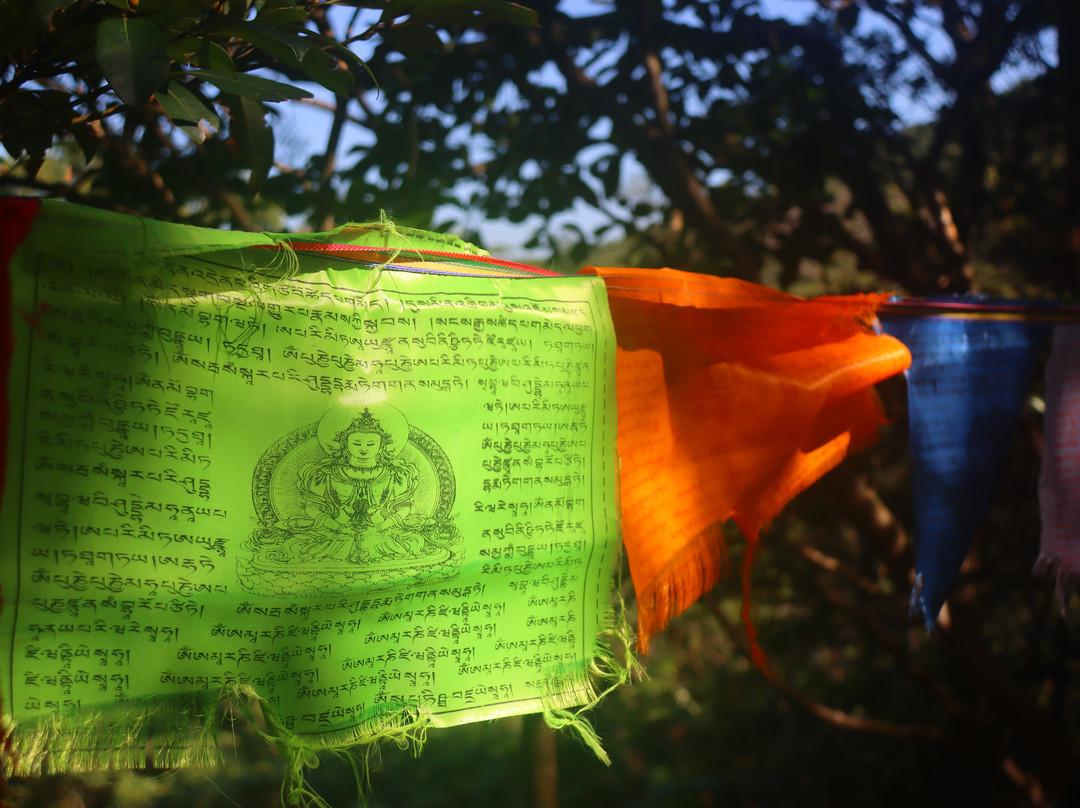 心经简林-香港必去景点