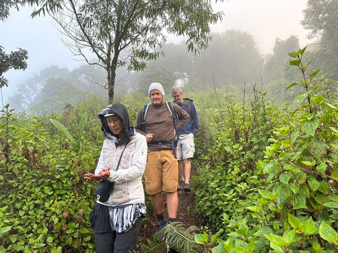 Doi Pha Hom Pok National Park-芳县必去景点