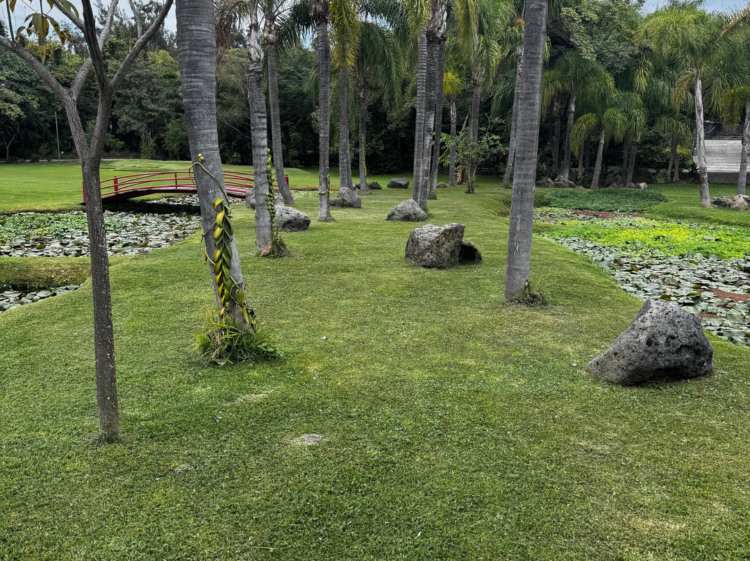 Huayacán Cuernavaca Curamoria Collection主图