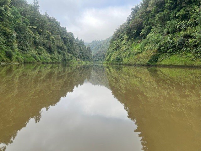 Owhango Adventures景点图片