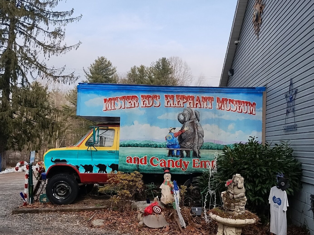 Mister Ed's Elephant Museum景点图片