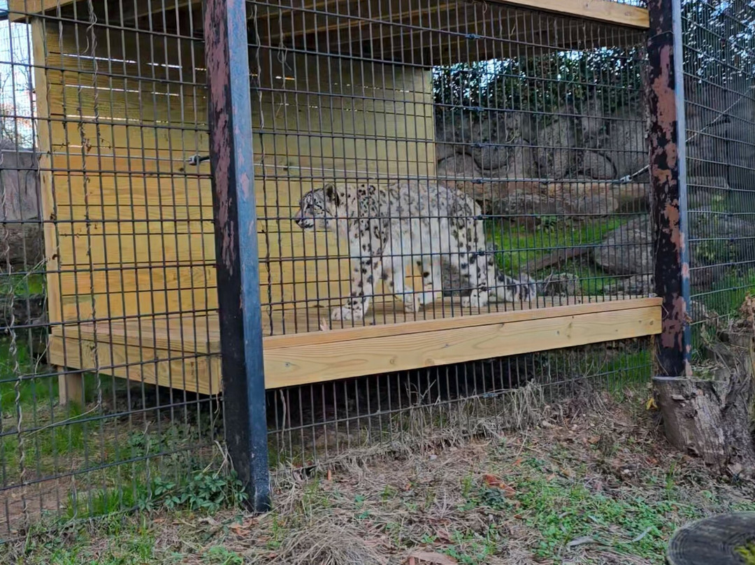 Montgomery Zoo-蒙哥马利必去景点