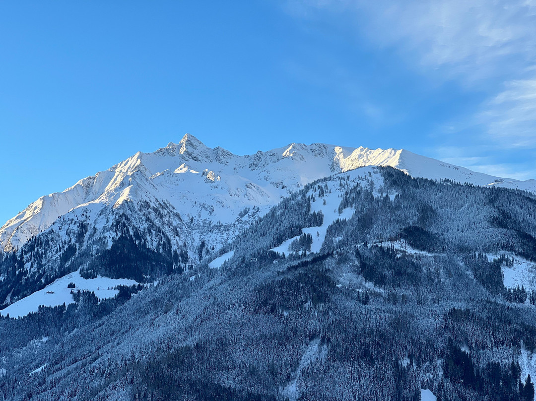 Schloss Mittersill主图