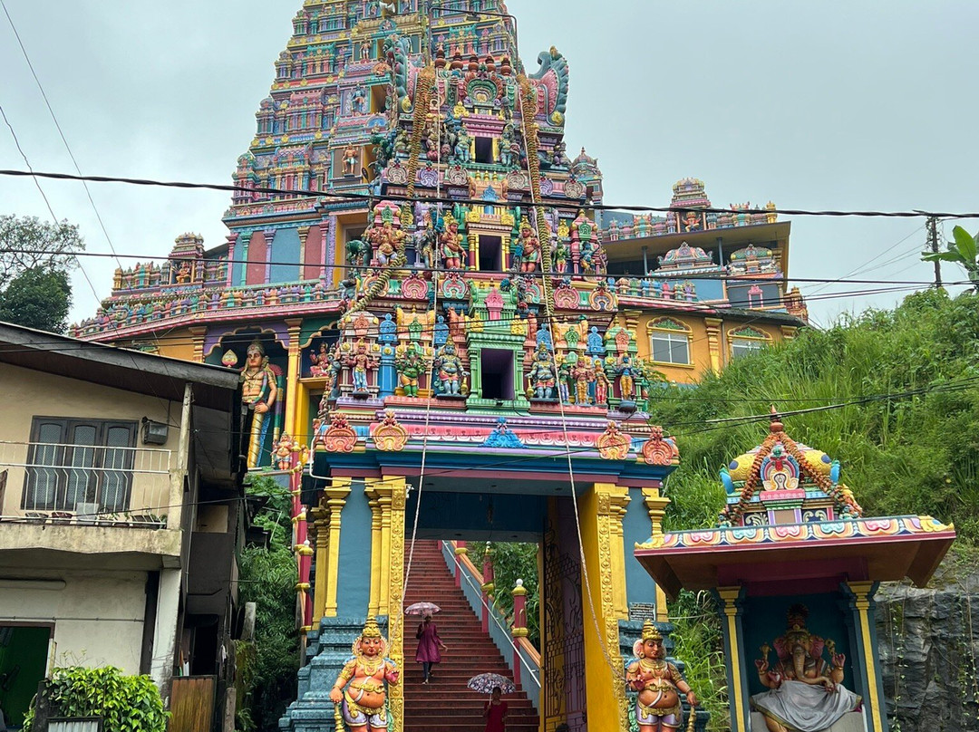 Green Island Tours-拜蒂克洛必去景点