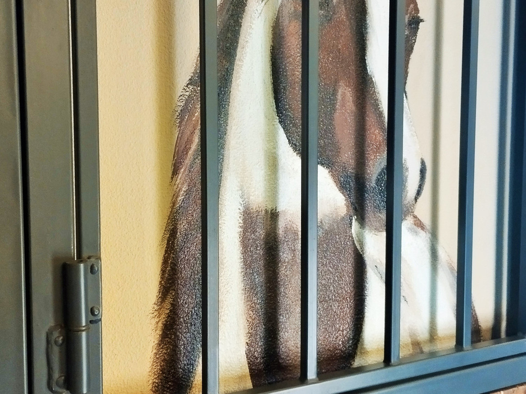 Schaaken Dorf-Nekrasovo必去景点