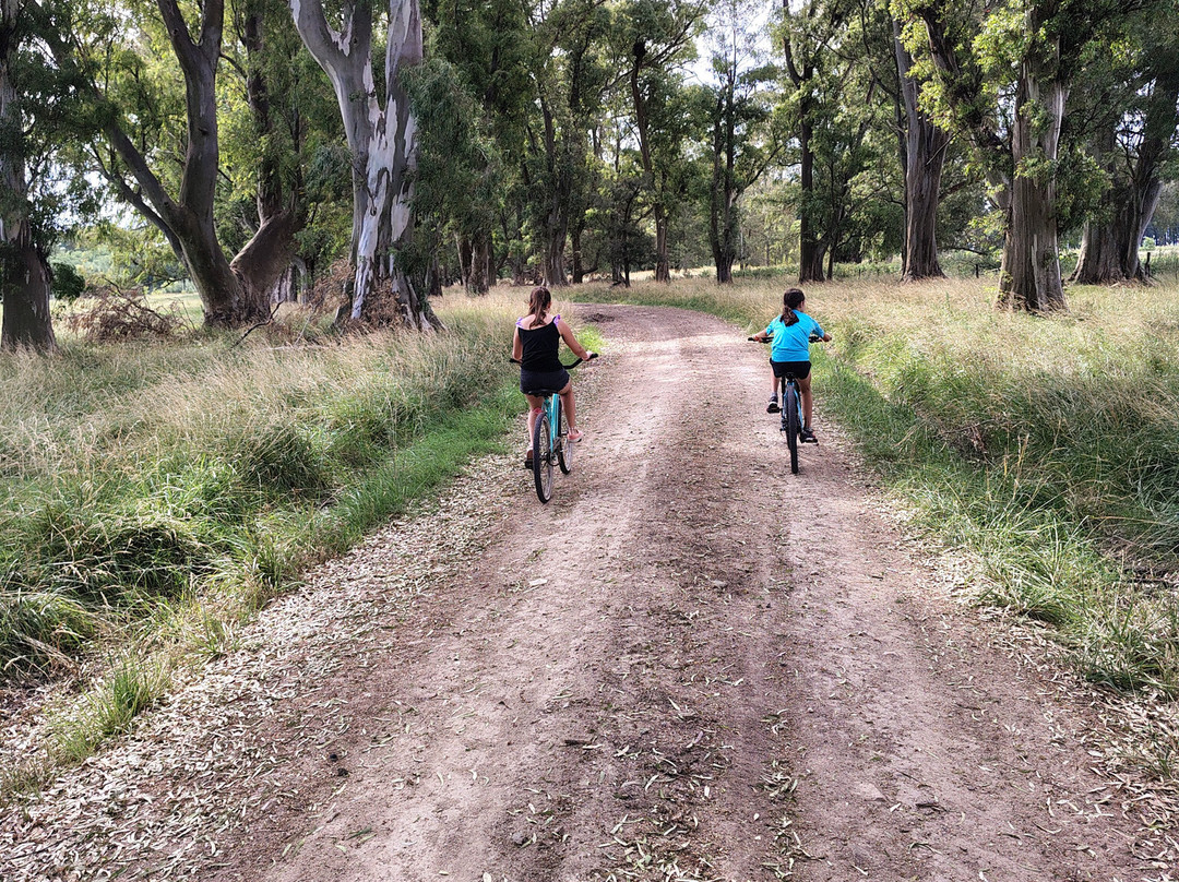 Las Flores酒店住宿-Estancia La Tomasa