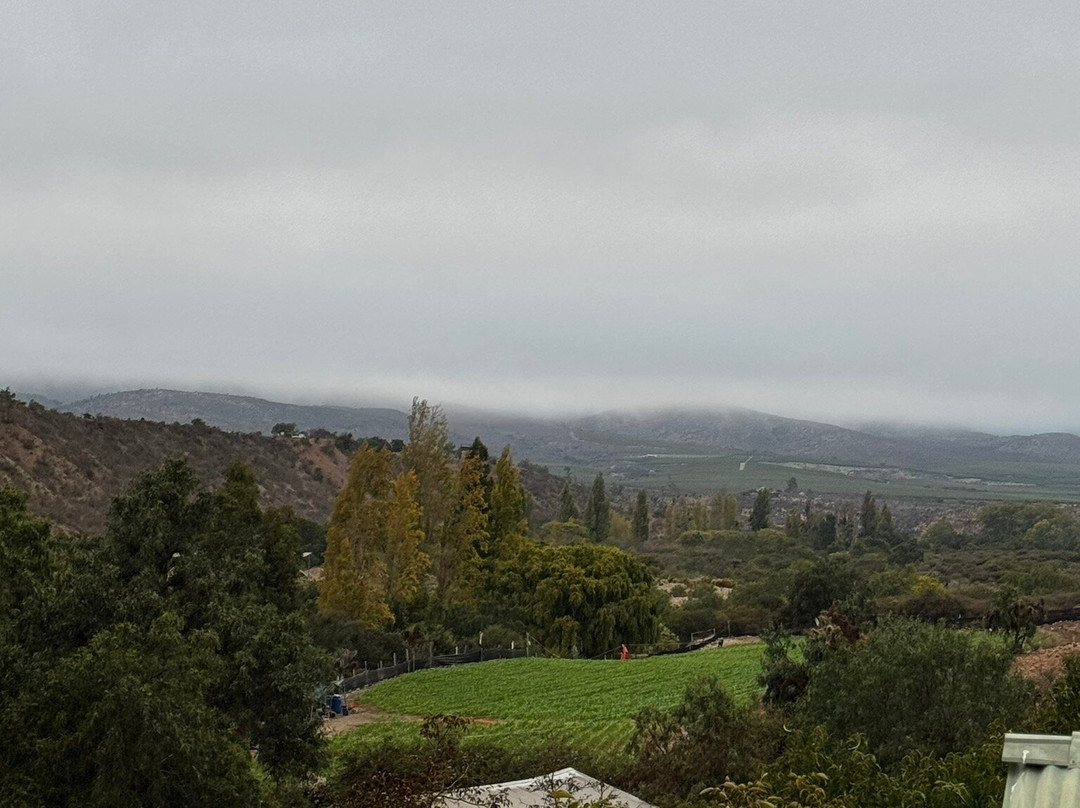 Hacienda Santa Cristina主图