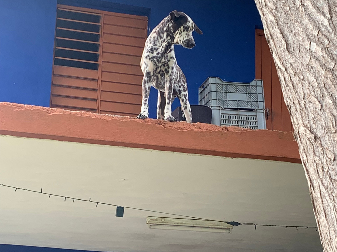 Finca Tungasuk-Caimito必去景点