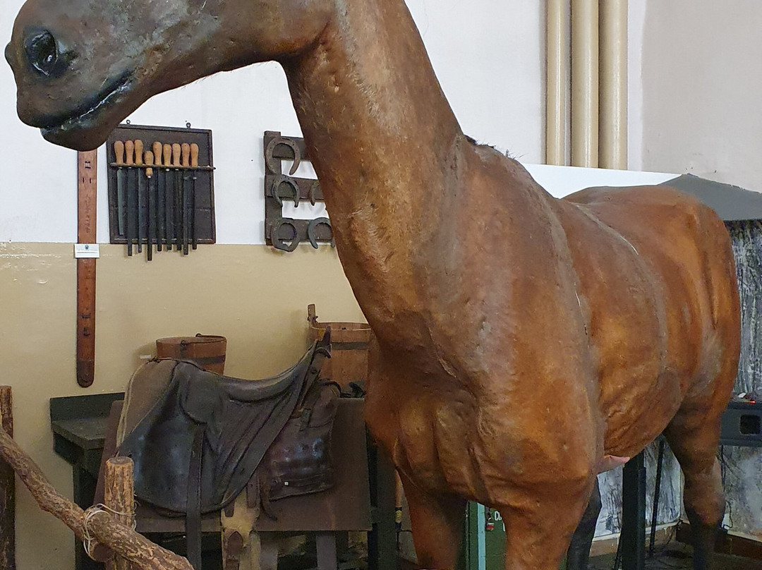 Museo Storico dell'Arma di Cavalleria景点图片
