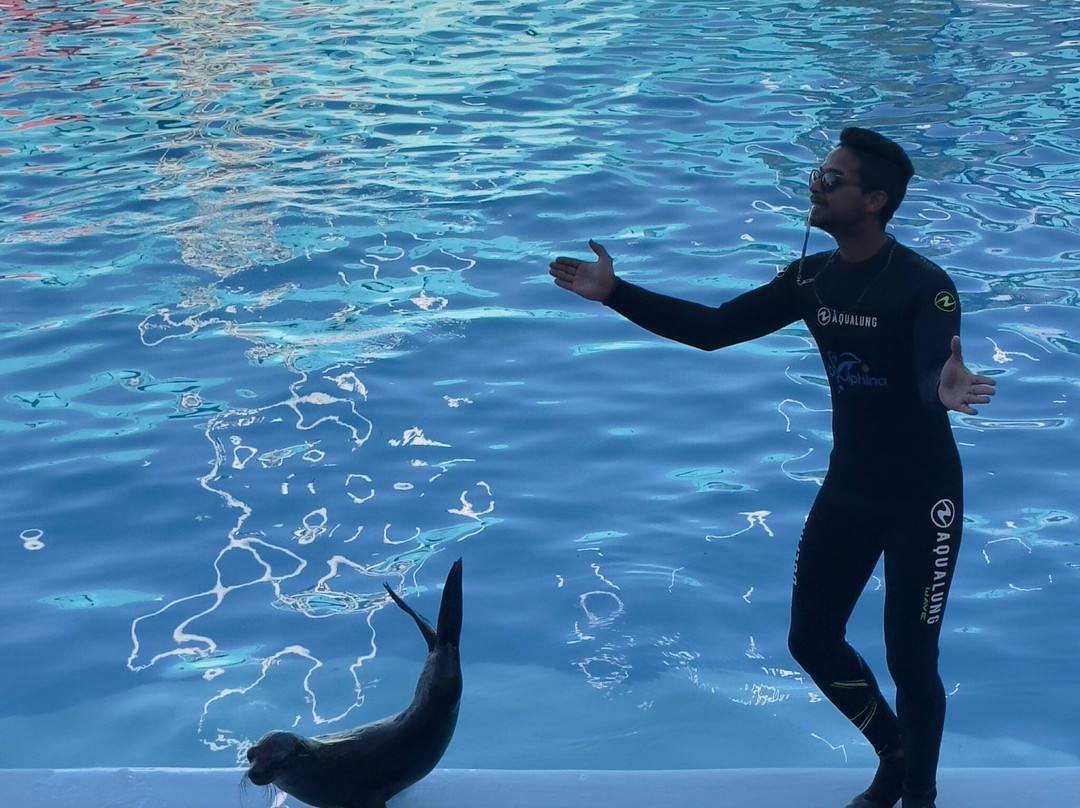 Dolphina Park-沙姆沙伊赫必去景点