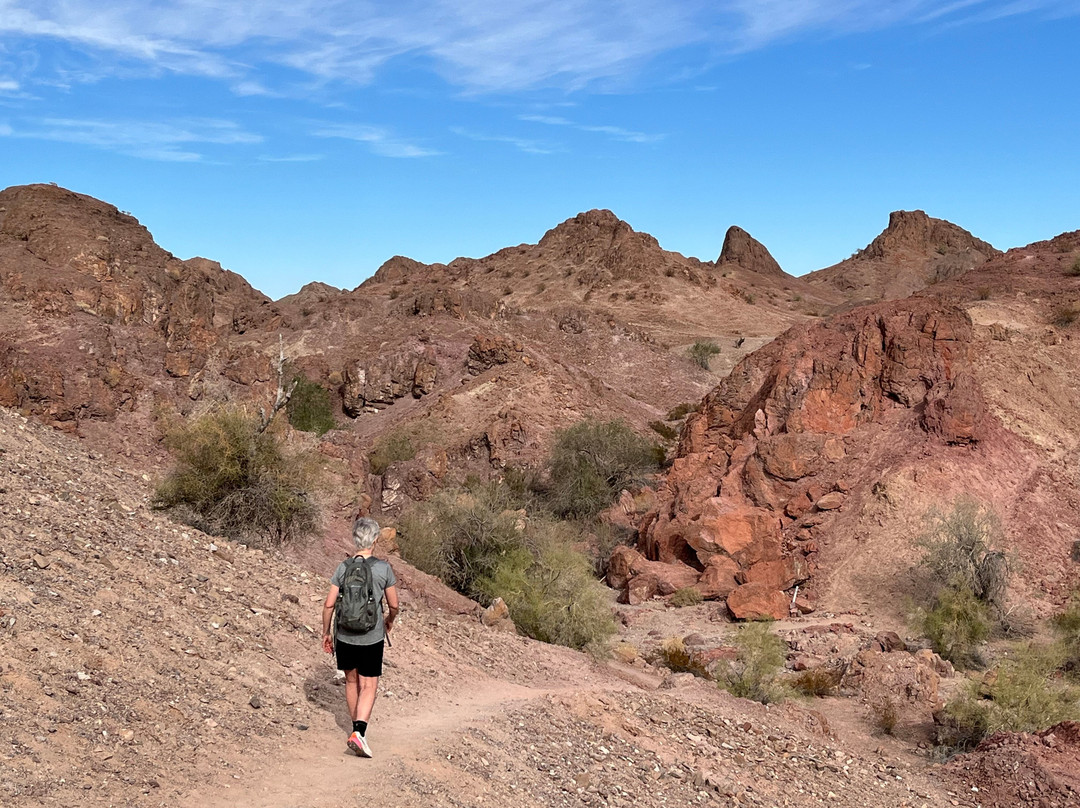 Imperial National Wildlife Refuge-尤马必去景点
