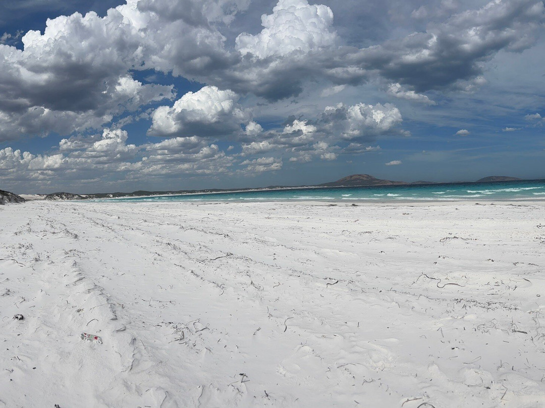 Wharton Beach景点图片