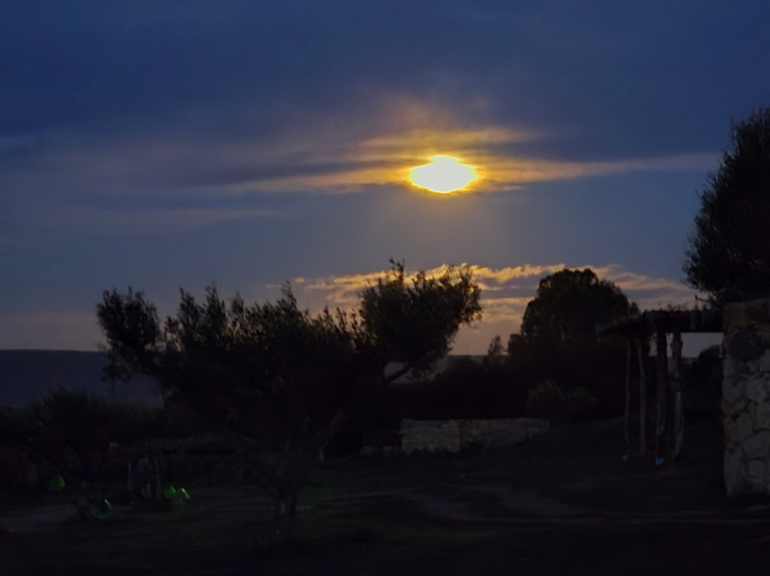 Gergei餐馆和美食-Is Perdas Rural Retreat & Spa