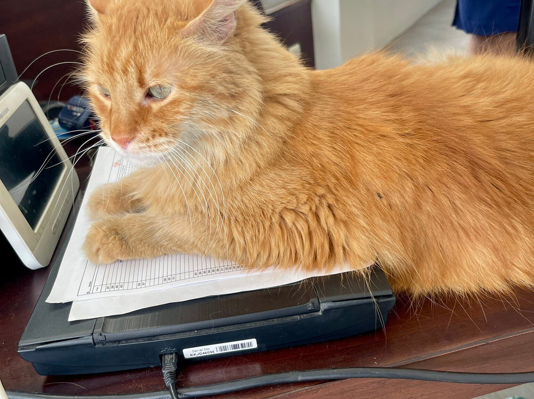 Hotel Perla Spondylus主图