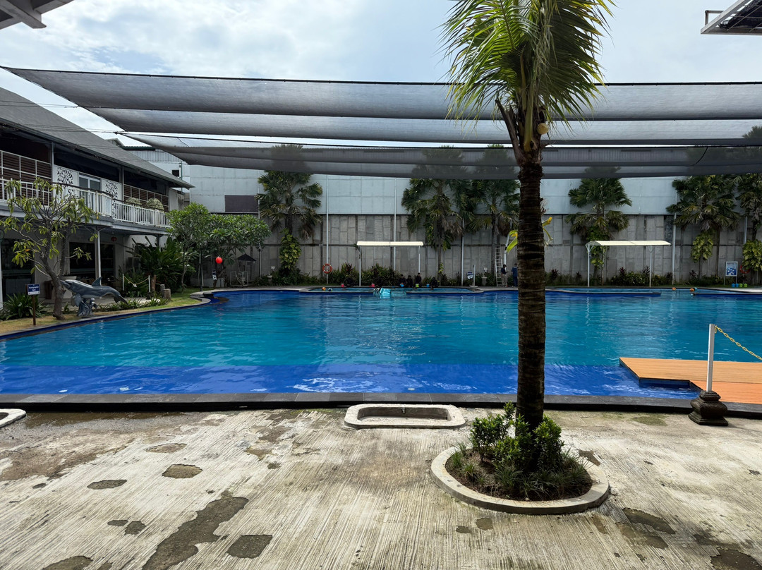 Bali Exotic Marine Park-登巴萨必去景点