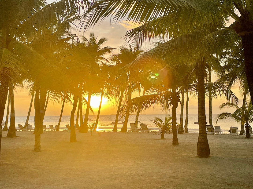 薄荷海滩俱乐部酒店主图